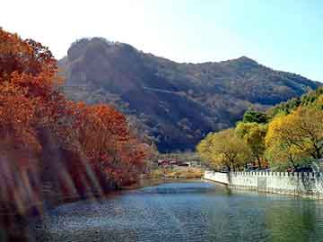 管家婆黑白马报图库，天涯情感天地